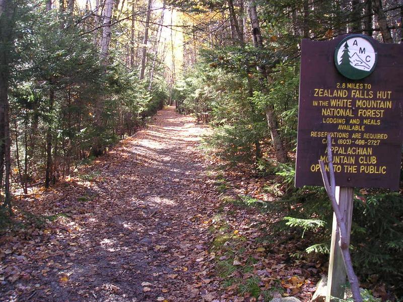 Zeacliff (4).JPG - The Zeacliff trail is one of the easiest in the Whites. It's mostly flat for it's 2.8 miles to the hut.